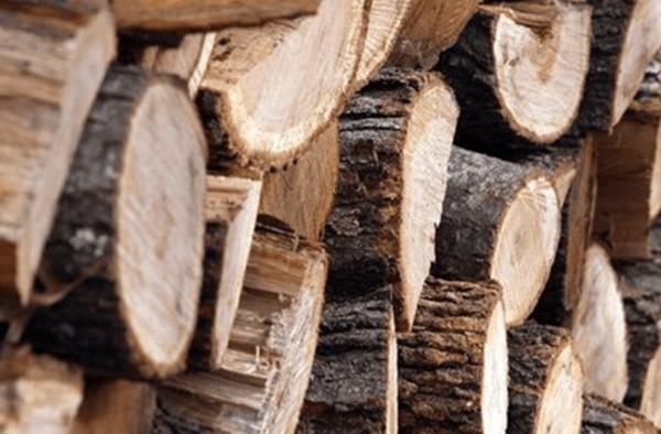 Ոստիկաններն ապօրինի ծառահատման դեպքեր են բացահայտել