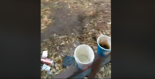 Խայտառակ վիճակ՝ Իսահակյանի արձանի տարածքում. Լևոն Գալստյան