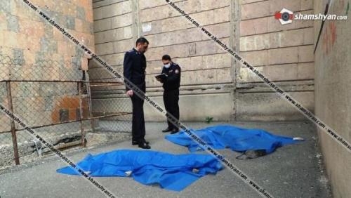 Մայրը տանն էր, երբ հայրը երեխաների հետ ցած է նետվել. հարևաններ