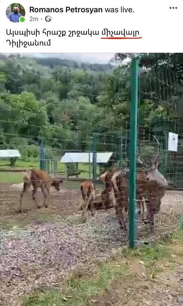 Չասեք` վրիպակ է, նախարարն իրավունք չունի այսքան անգրագետ լինել