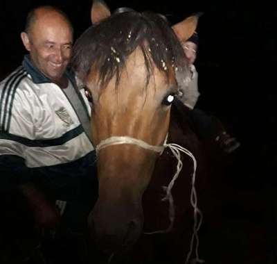 Ադրբեջանի օկուպացված տարածքից՝ Քարին տակ գյուղից, ձին 9 ամիս անց հասել է Աջափնյակ, գտել իր տիրոջը