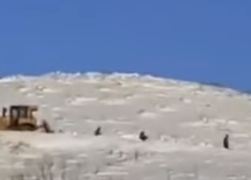 «Թշնամին շարունակում է ինժեներական աշխատանքներ կատարել՝ փորձելով դիրքավորվել»․ Դավիթ Թորոսյան