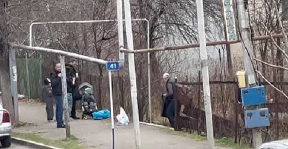 Նիկոլ Փաշինյանը աղբ է հավաքում Դիլիջանում․ Աննա Հակոբյանի տեսանյութը