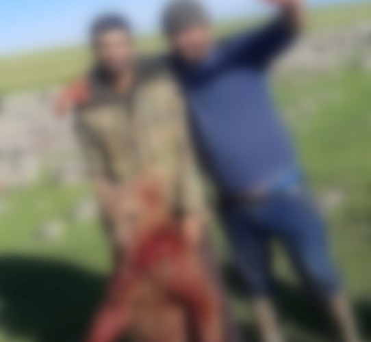 Արմավիրում 2 քաղաքացի դաժանաբար սպանել են արջի քոթոթին և լուսանկարվել արնաքամ կենդանու հետ