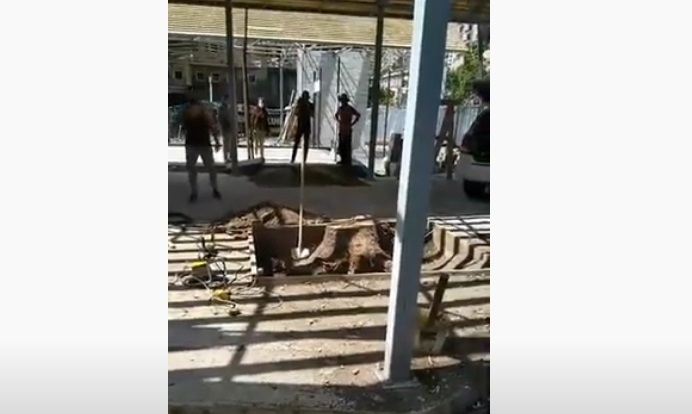 Հեռացնում են Մաշտոցի պուրակի սրճարանի տարածքում կտրած ծառի արմատները